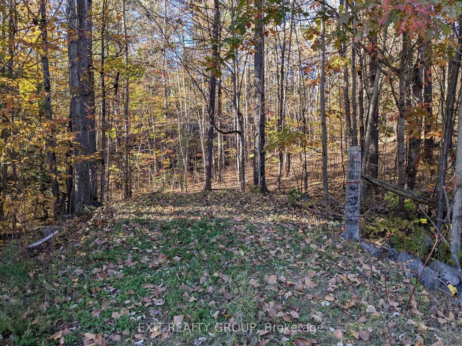 Property Photo:  0 Flinton Road  ON K0K 3J0 