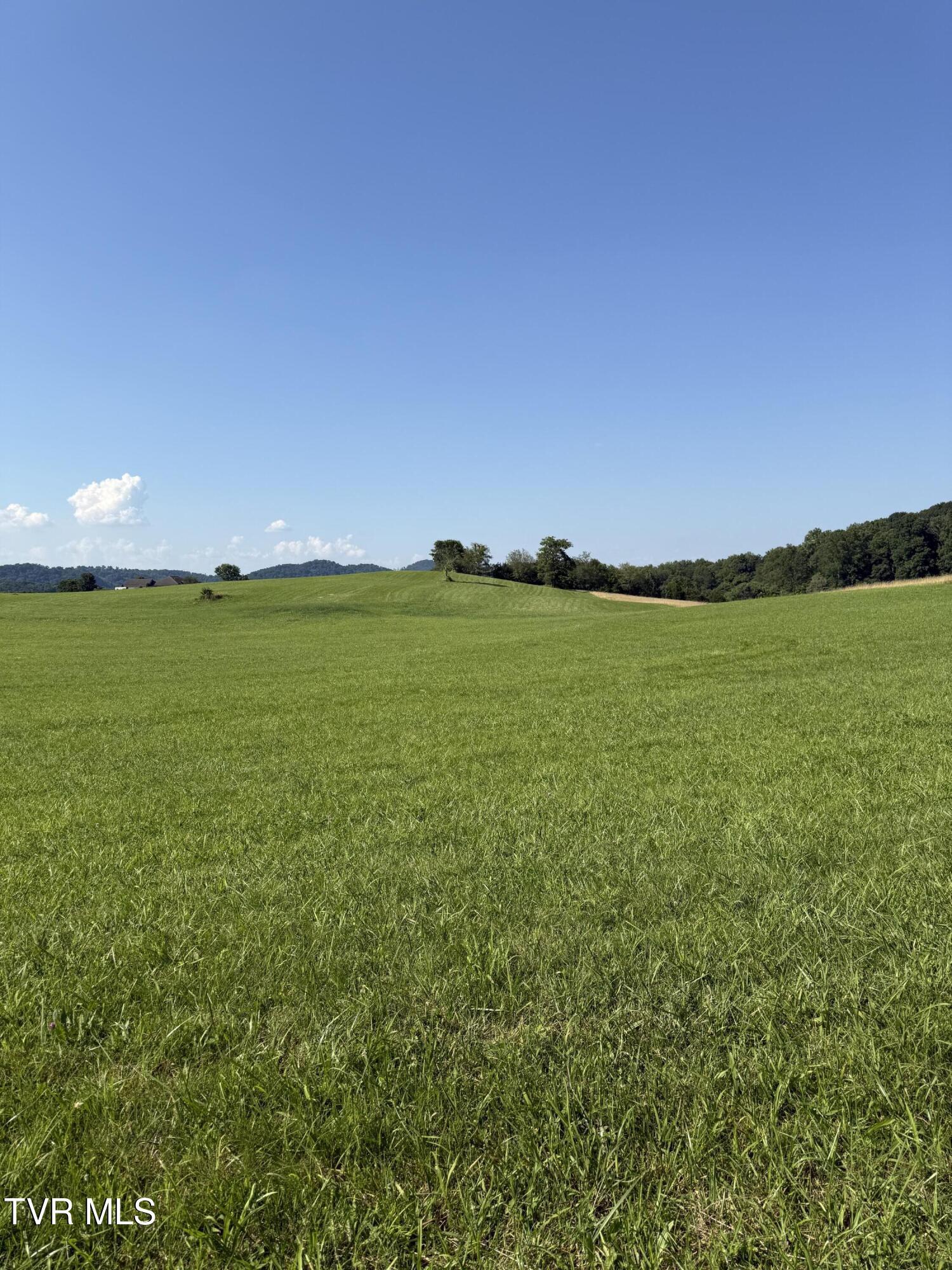 Property Photo: Lot 7 Mahoney Property, Hwy 81 N TN 37659