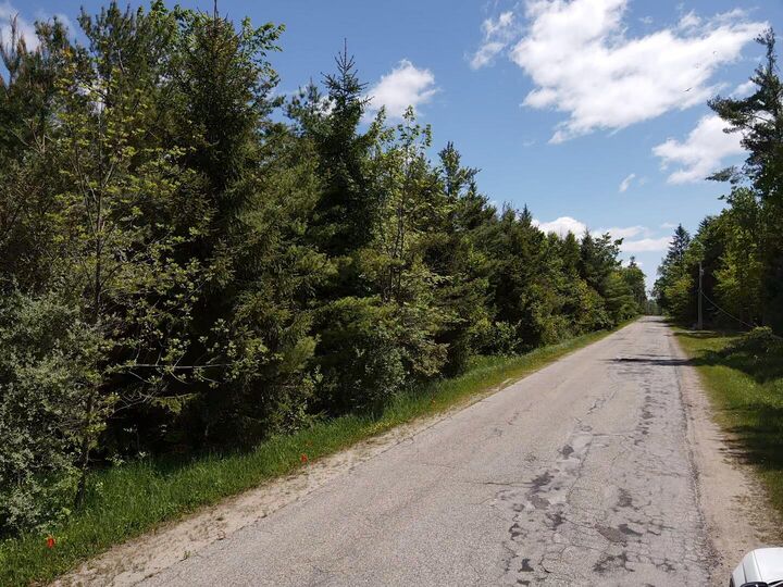 Lot 2 E West Resort Road  Alanson MI 49706 photo