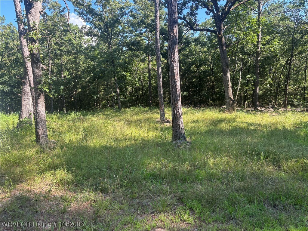 Property Photo:  Tbd NE 1145th  OK 74563 