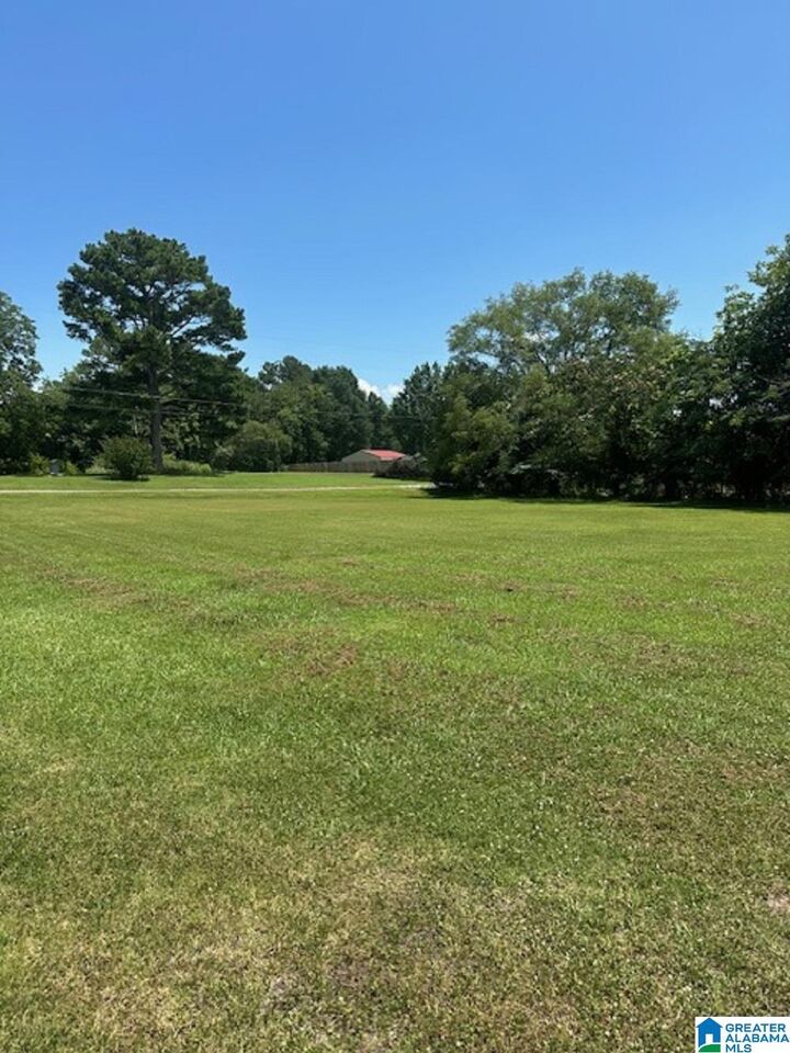 Property Photo:  0 County Road 437 0  AL 35057 