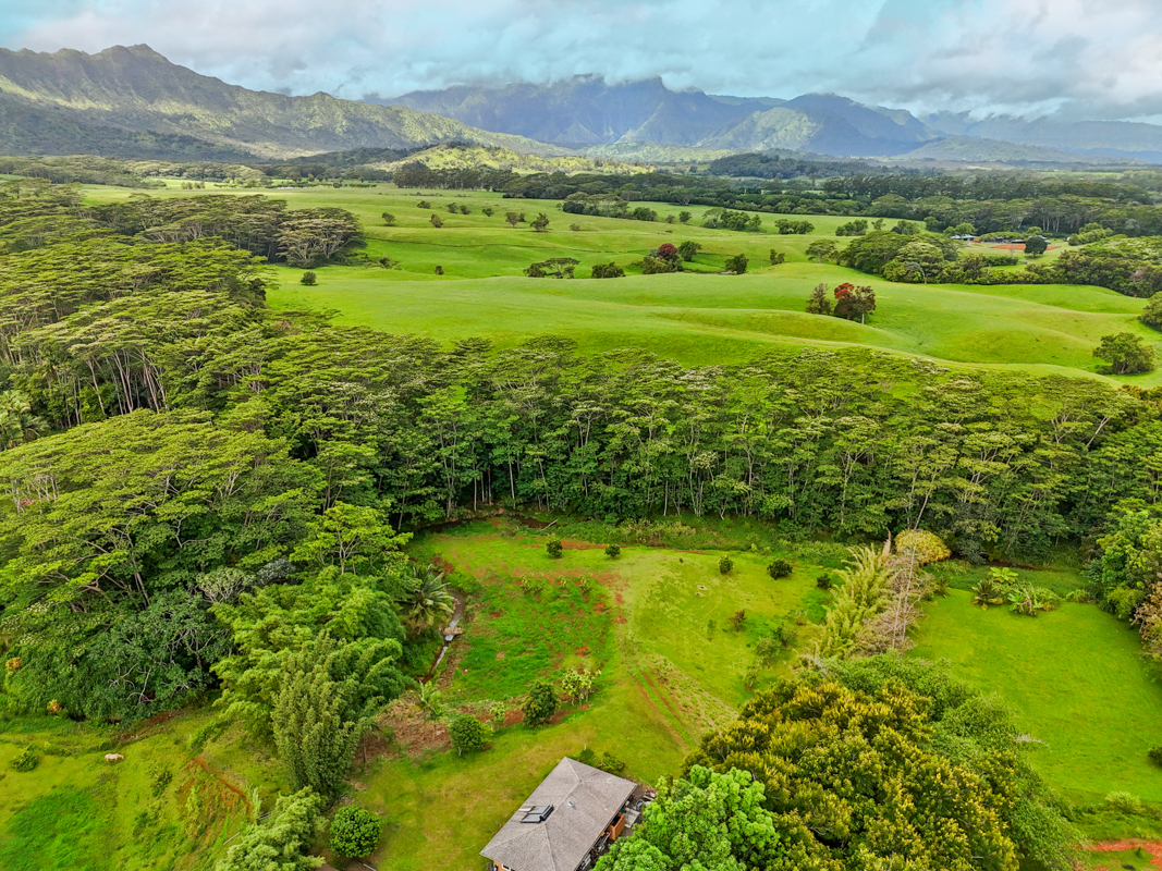 1636-B Huli Rd  Kilauea HI 96754 photo