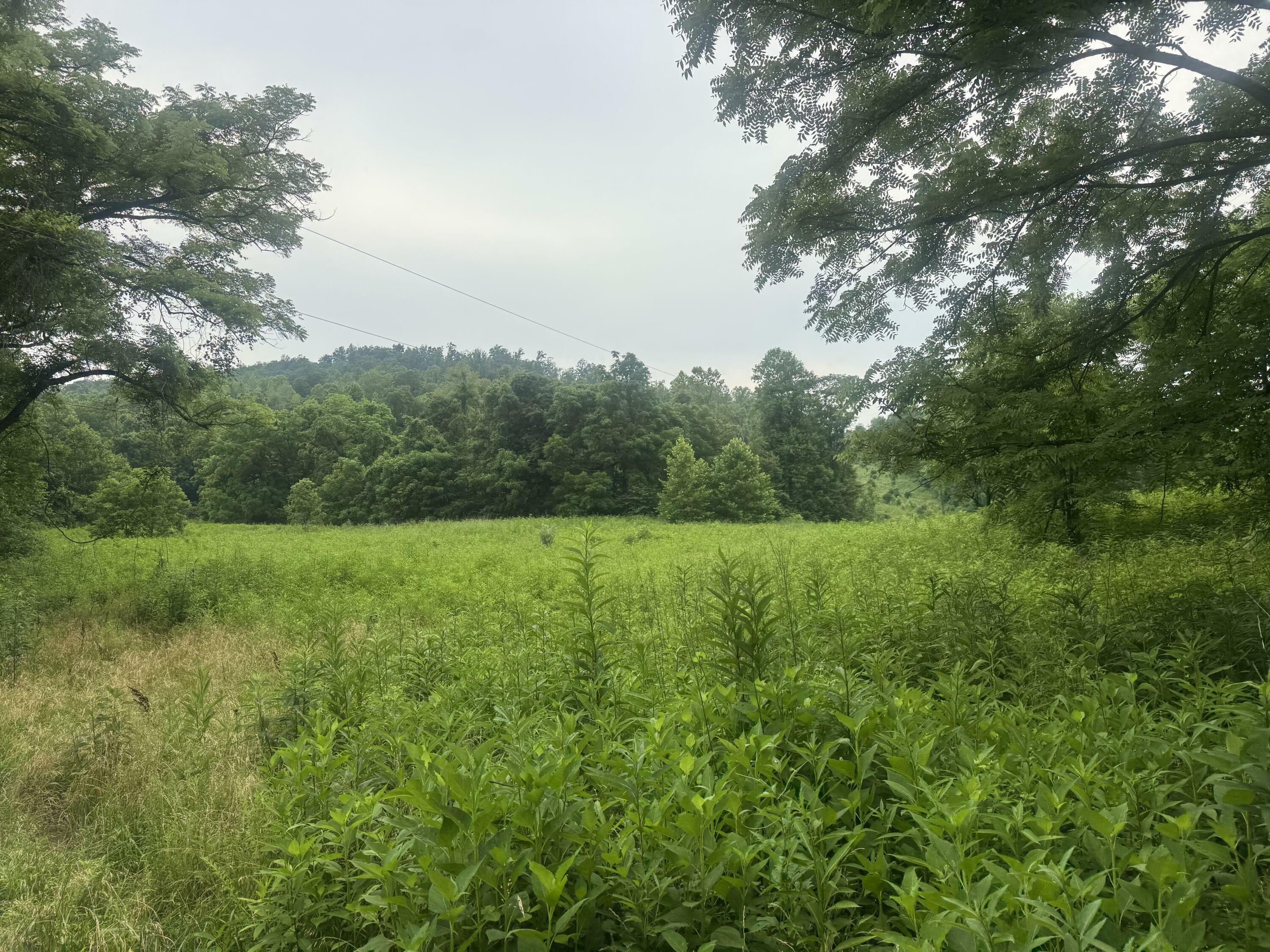 Property Photo: 500 Hail Bridge Road KY 42501