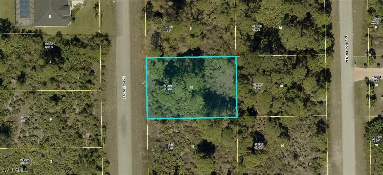 Property Photo:  321 Paisley Avenue  FL 33974 