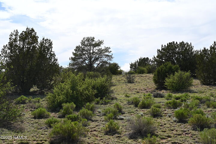 Property Photo:  9696 Mineral Wells Road  AZ 86046 