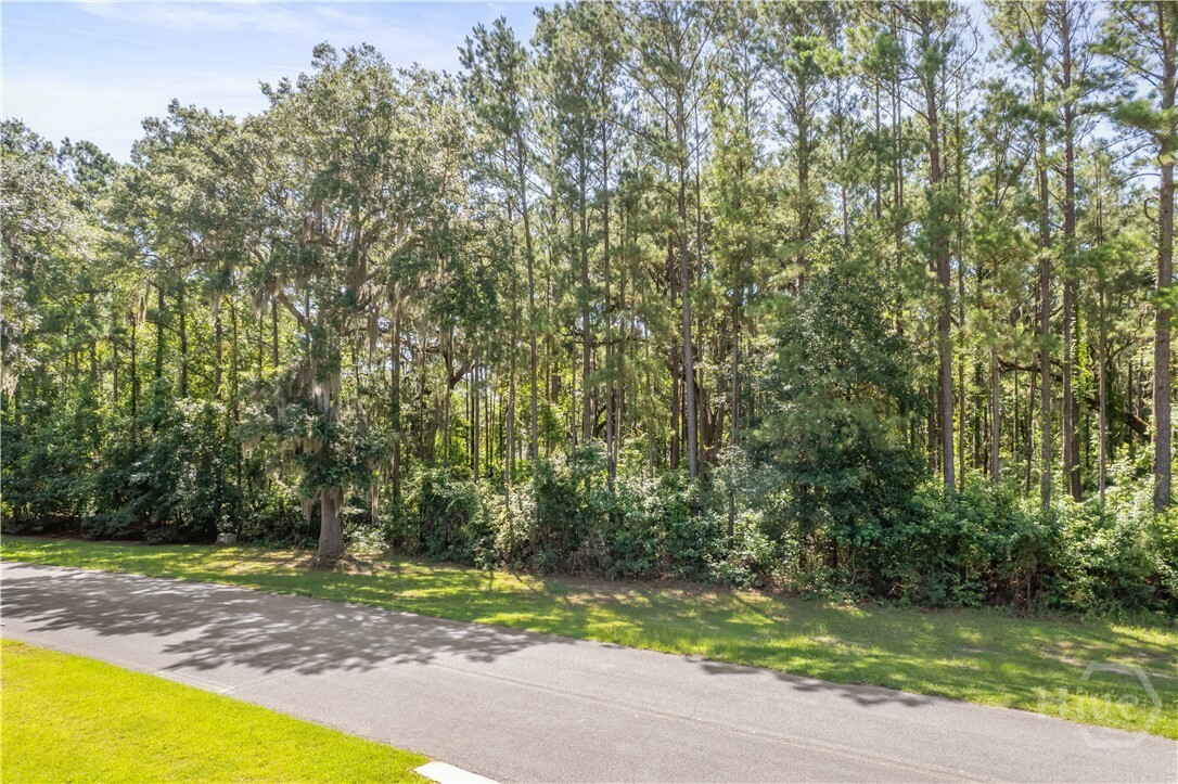 Property Photo: Lot 27 St Catherine Circle GA 31324