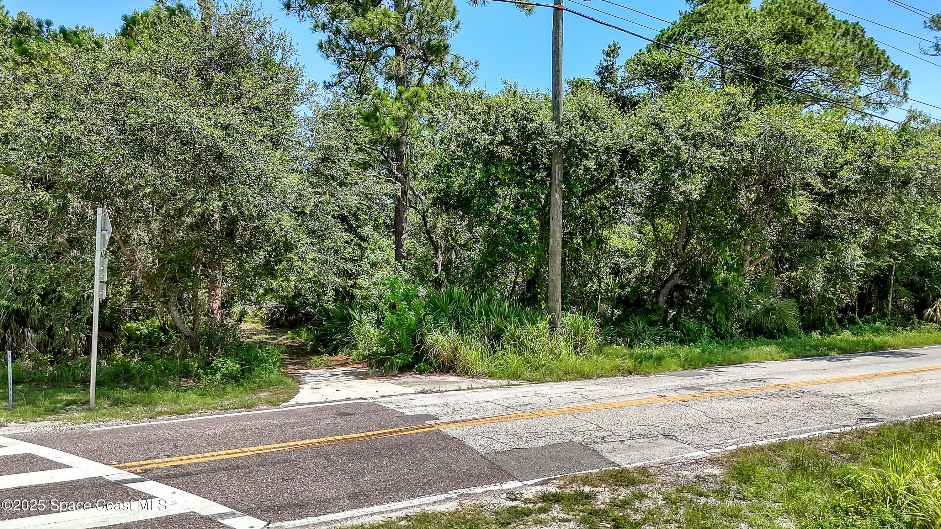 Property Photo:  4300 Burkholm Road  FL 32754 