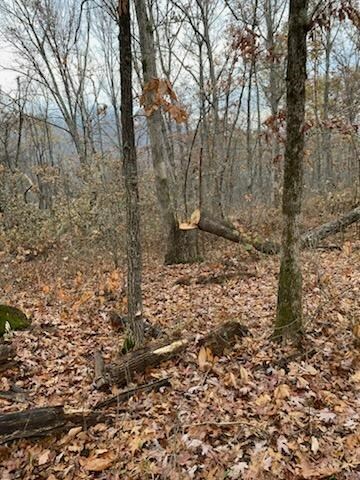 Property Photo: 571 Co. Rd. 52 OH 45638