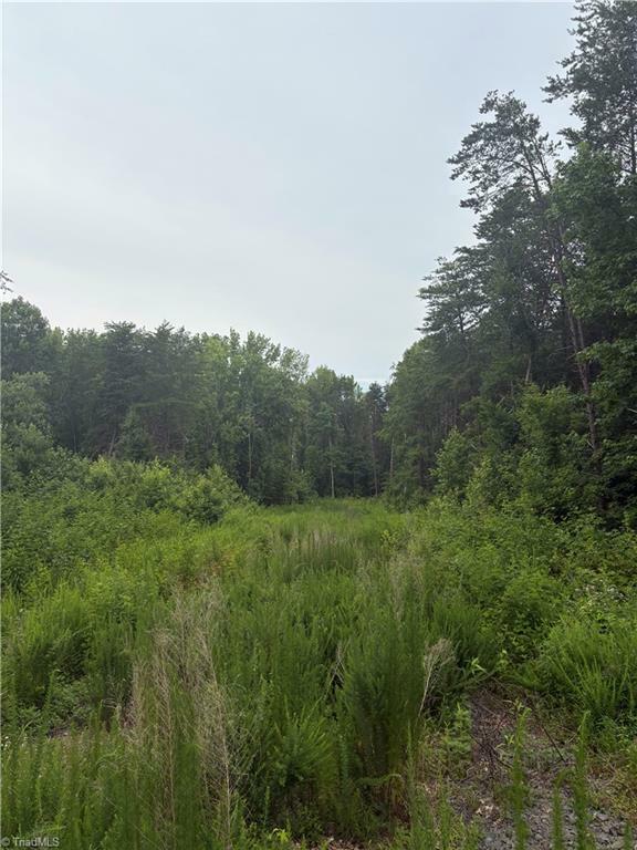 Property Photo: 185 Trenton Drive NC 27284