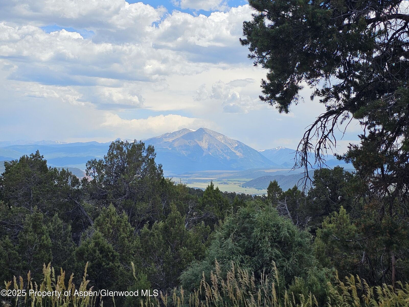 Property Photo:  3221 Elk Springs Drive  CO 81601 