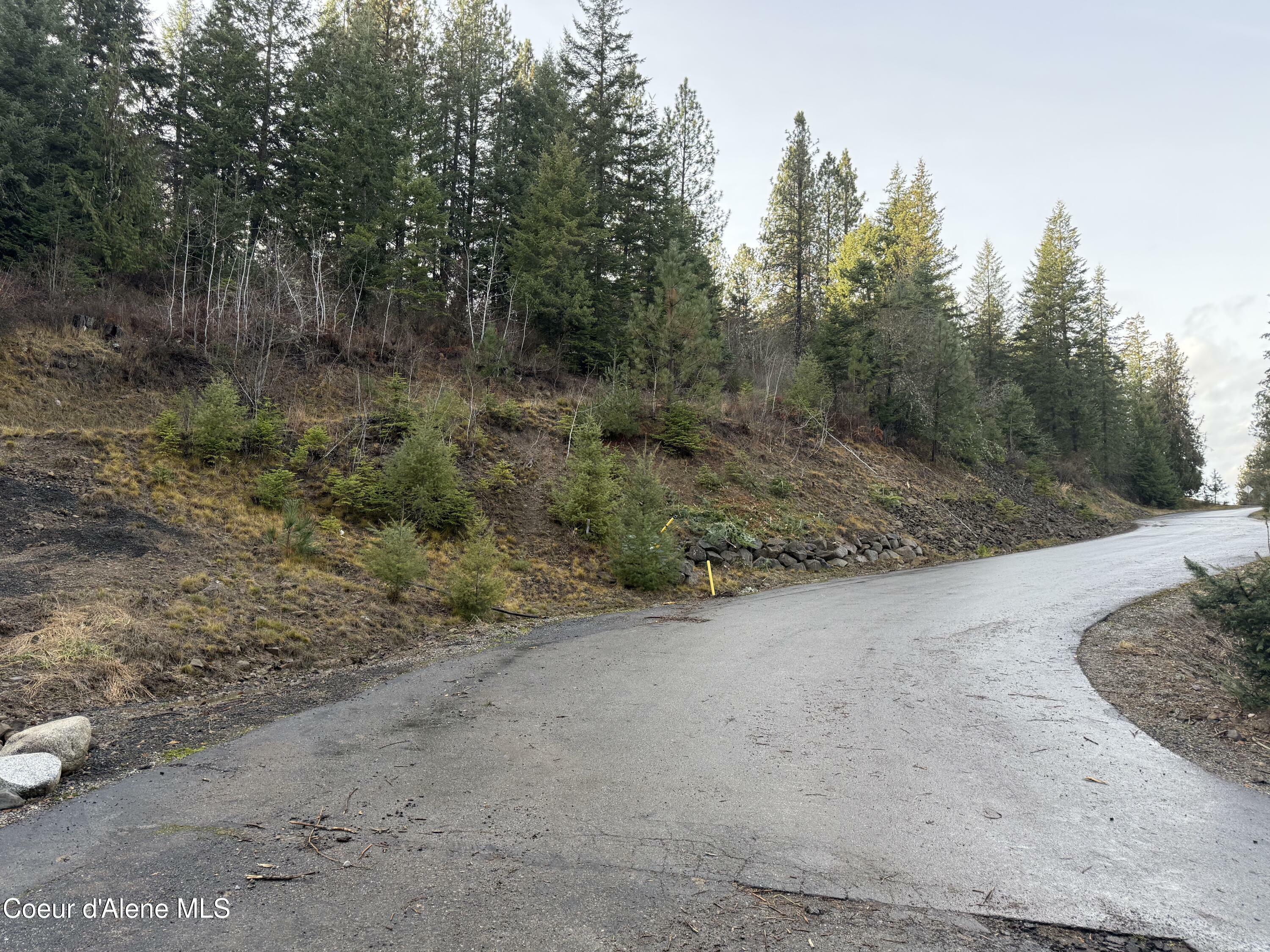 Property Photo: Lot 20 Flying Eagle Dr. ID 83833