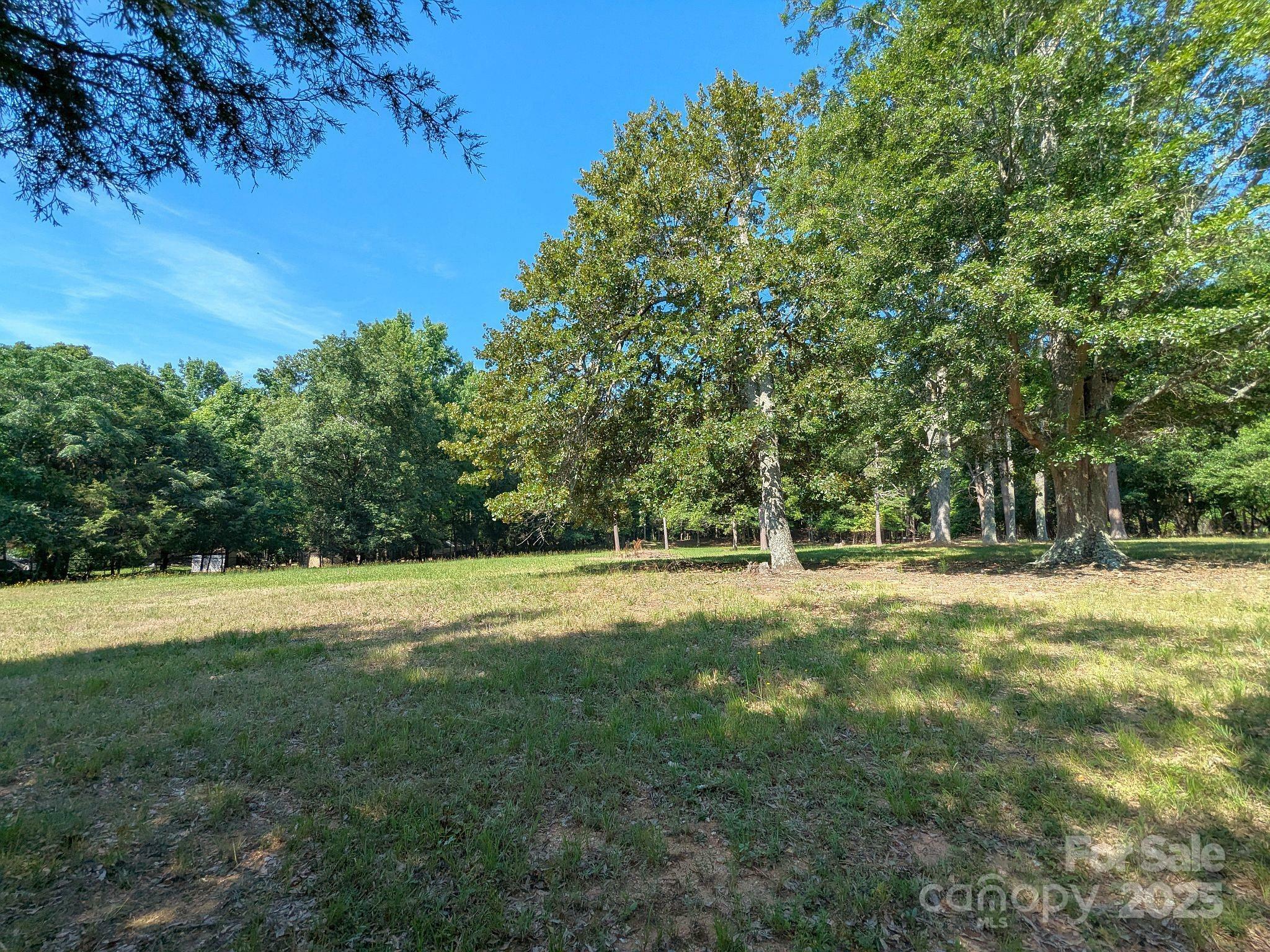 0000 Tract #1A Roddey Road  Catawba SC 29704 photo