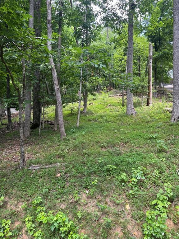 Property Photo: 830 N Duffer Drive GA 30143