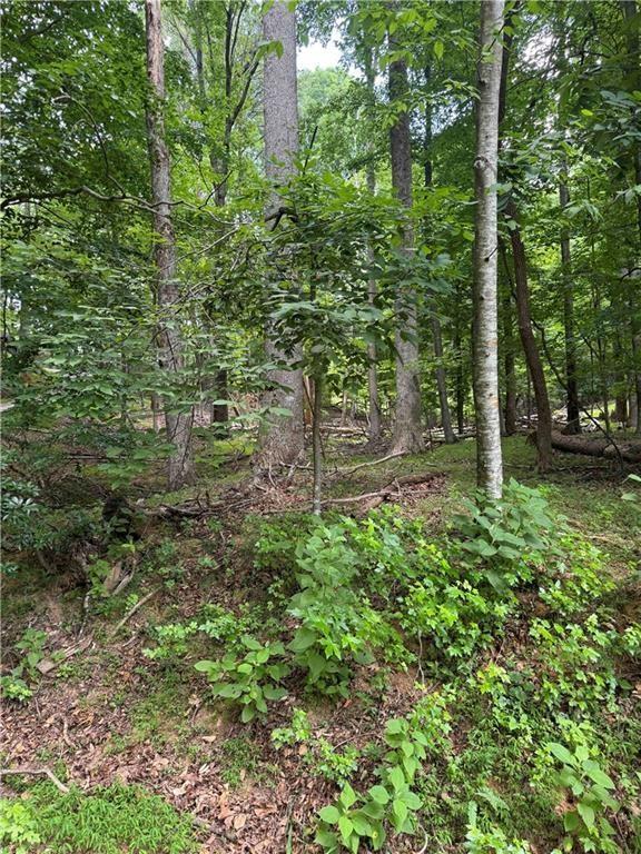 Property Photo: 832+ N Duffer Drive GA 30143