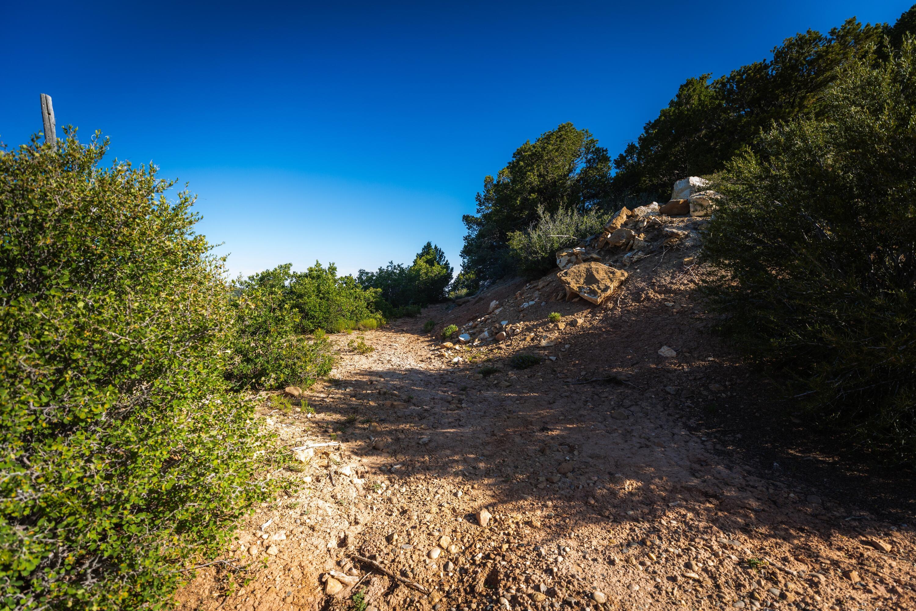 Property Photo: Braffits Creek Lot 81 3200 Sub UT 84772