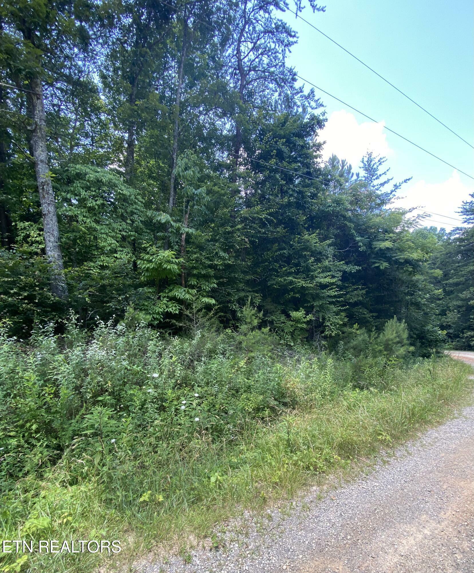 Property Photo:  Lot 3 Welch Rd  TN 37385 