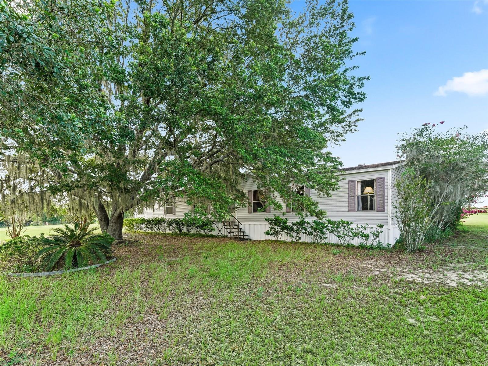 17260 SE 55th Place  Ocklawaha FL 32179 photo