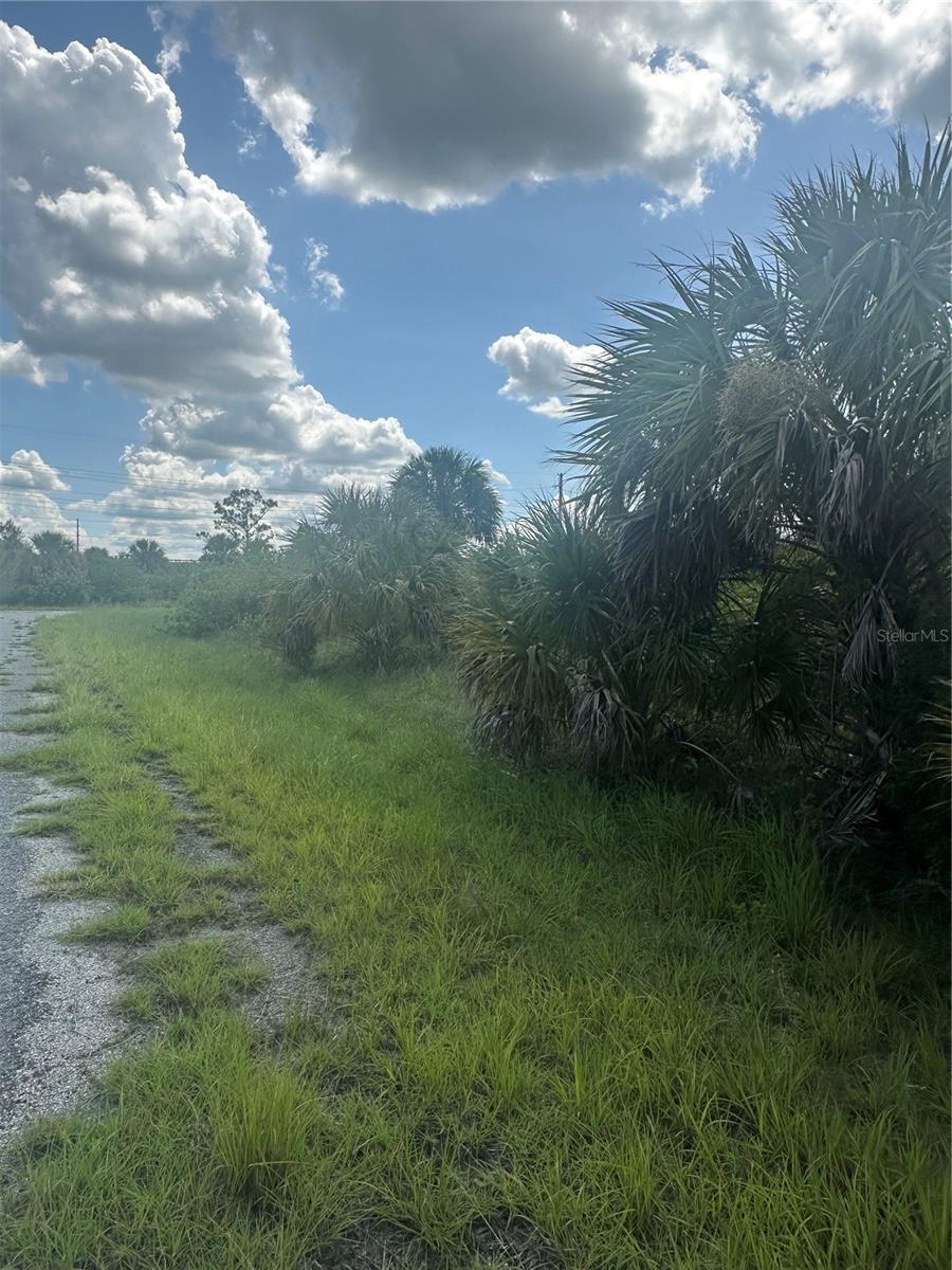 Property Photo: Fritz Avenue FL 34288