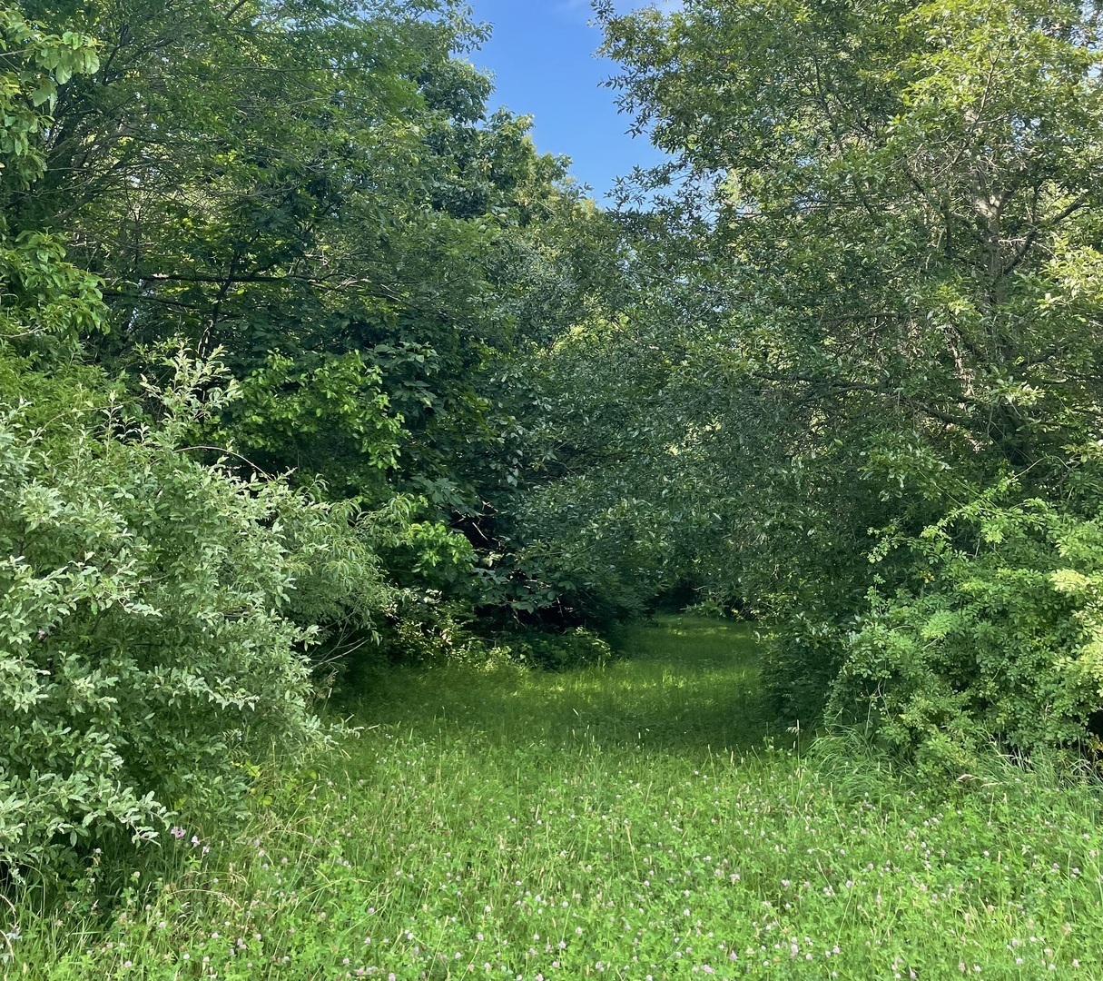 Property Photo: 13809 Pine Road IL 61735