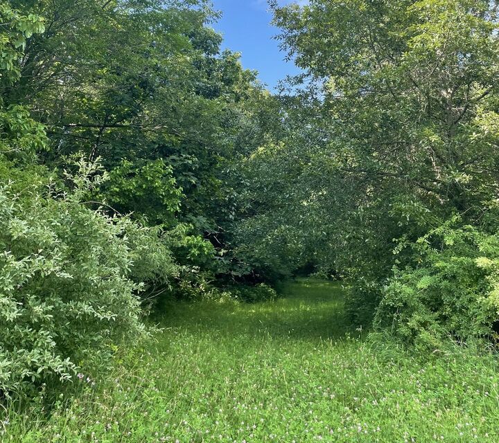 Property Photo: 13809 Pine Road IL 61735