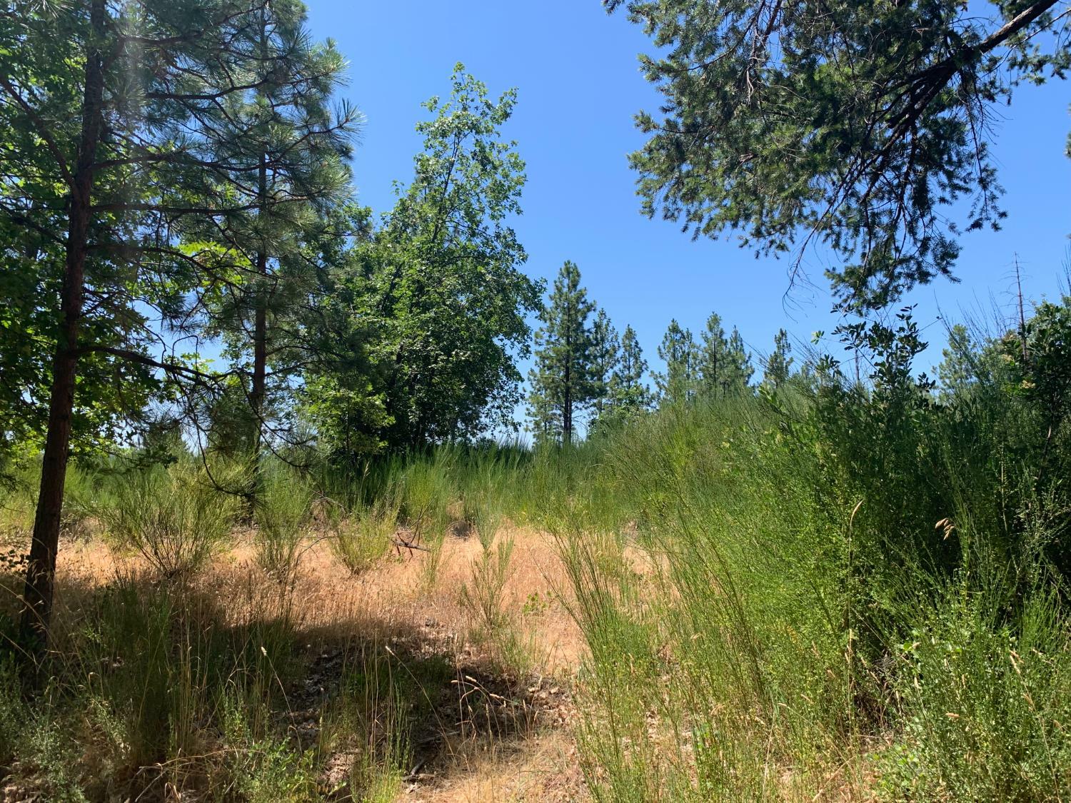 Property Photo: 11880 Lost Ranch Way CA 95959