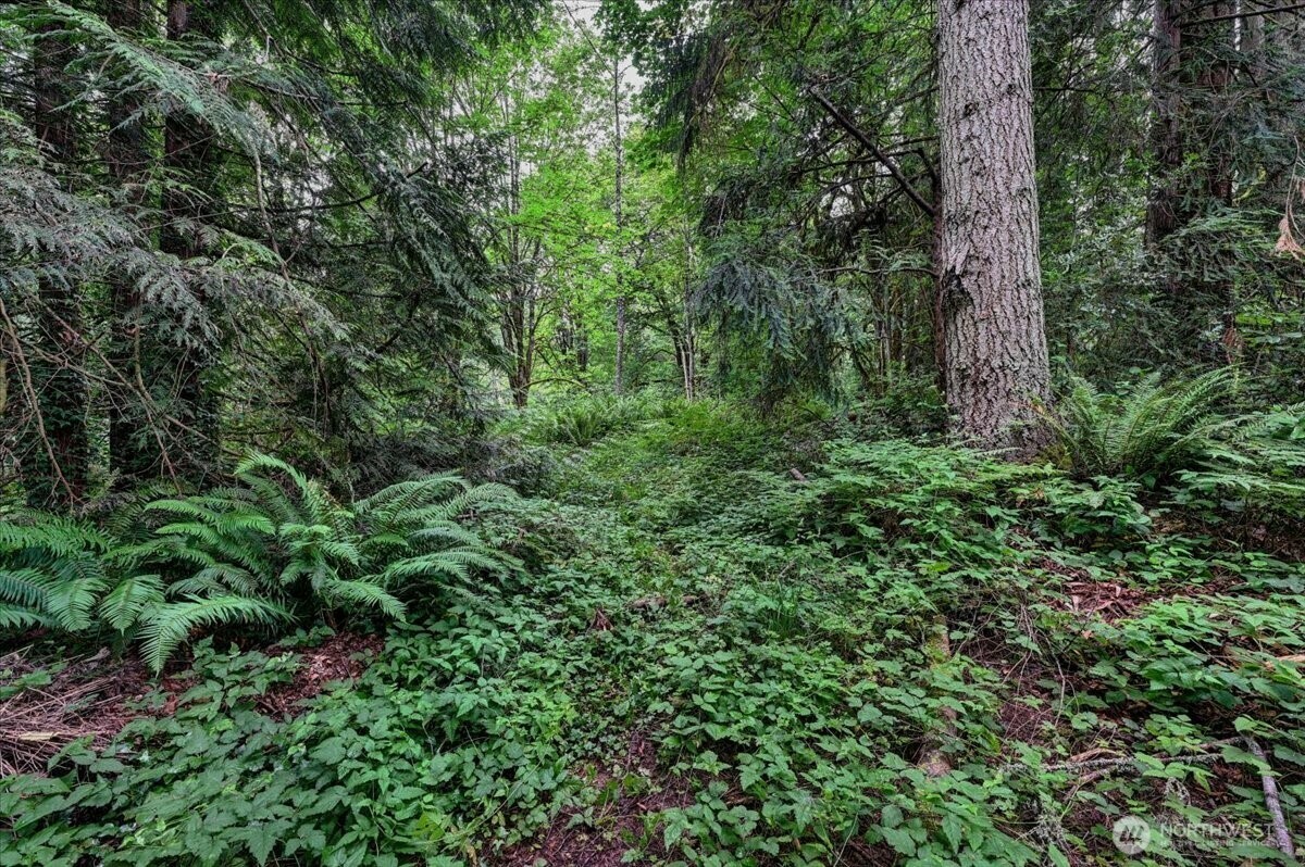 4133 W Ames Lake Drive NE  Redmond WA 98053 photo