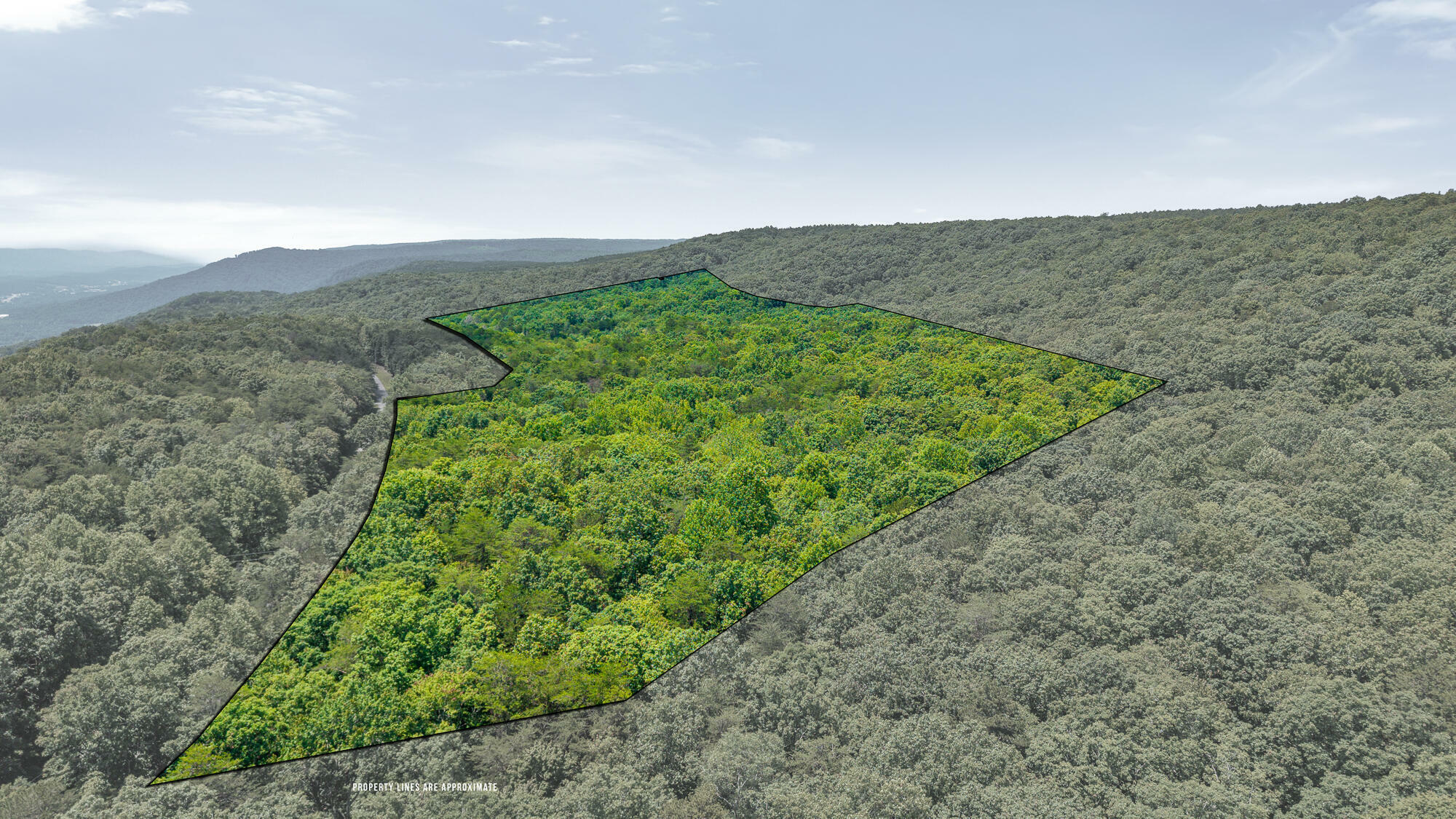 Property Photo: 41.04 Ac Windridge Drive TN 37327