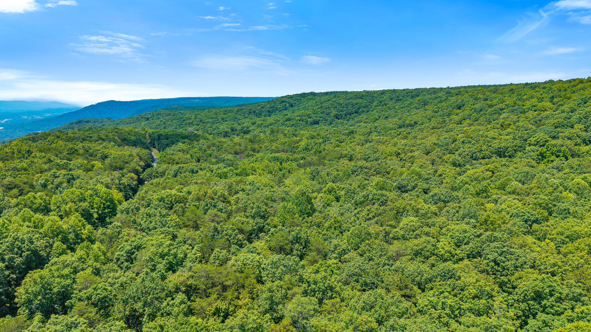 Property Photo: 41.04 Ac Windridge Drive TN 37327