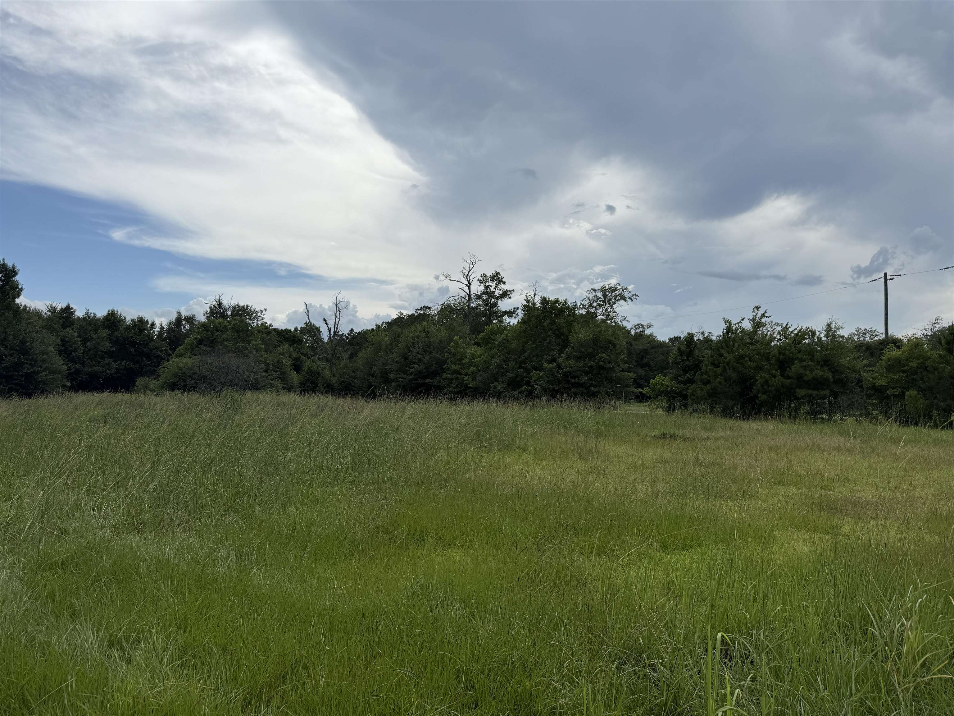 Property Photo:  8225 Tulane  TX 77630 