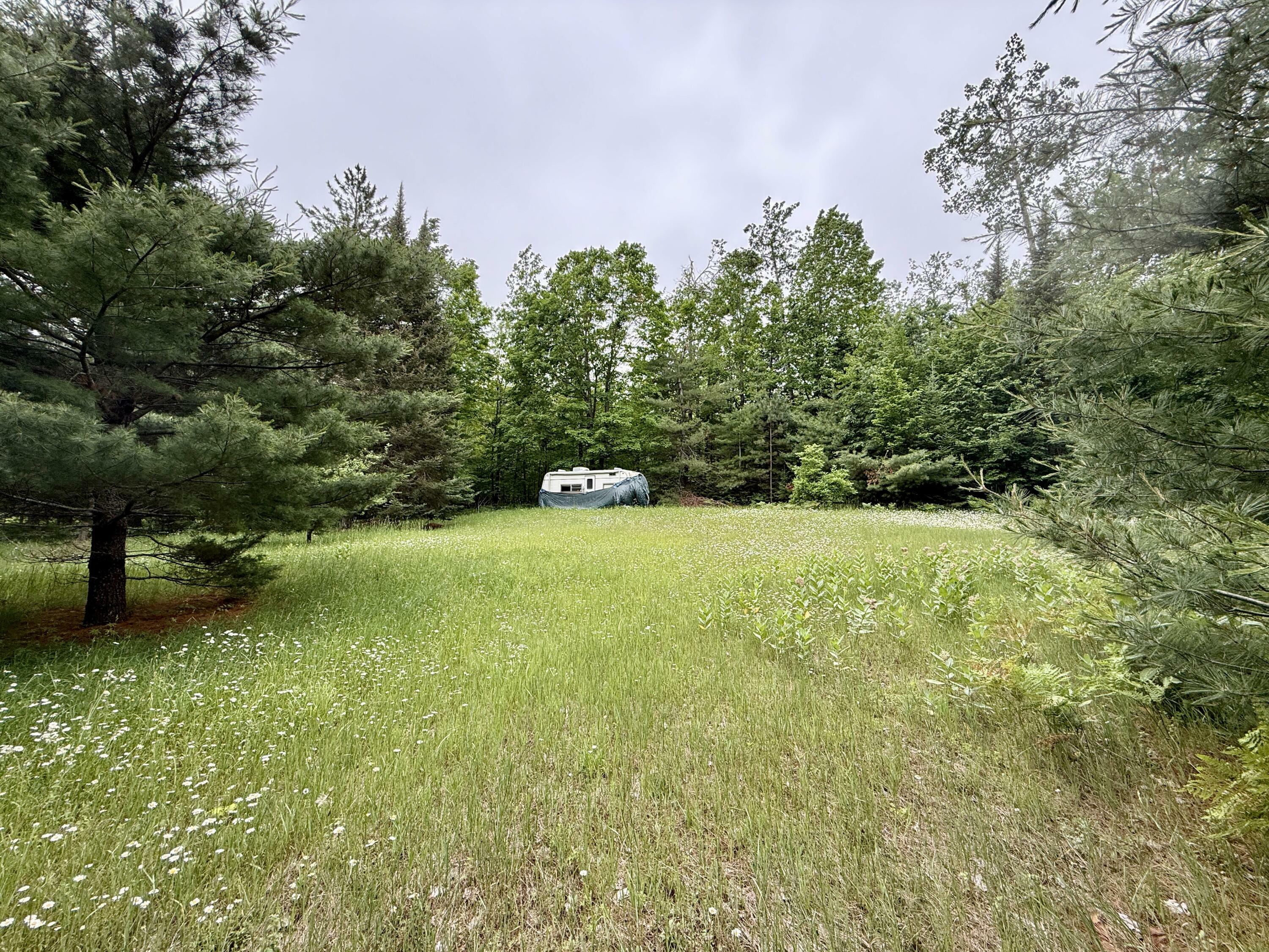 Property Photo: 16444 Cricket Trail MI 49799