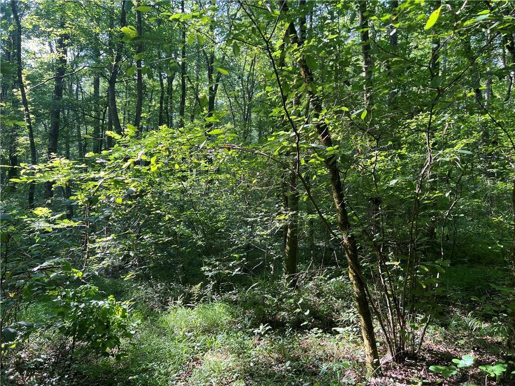 Property Photo: 0 Mac Garner Road GA 30179