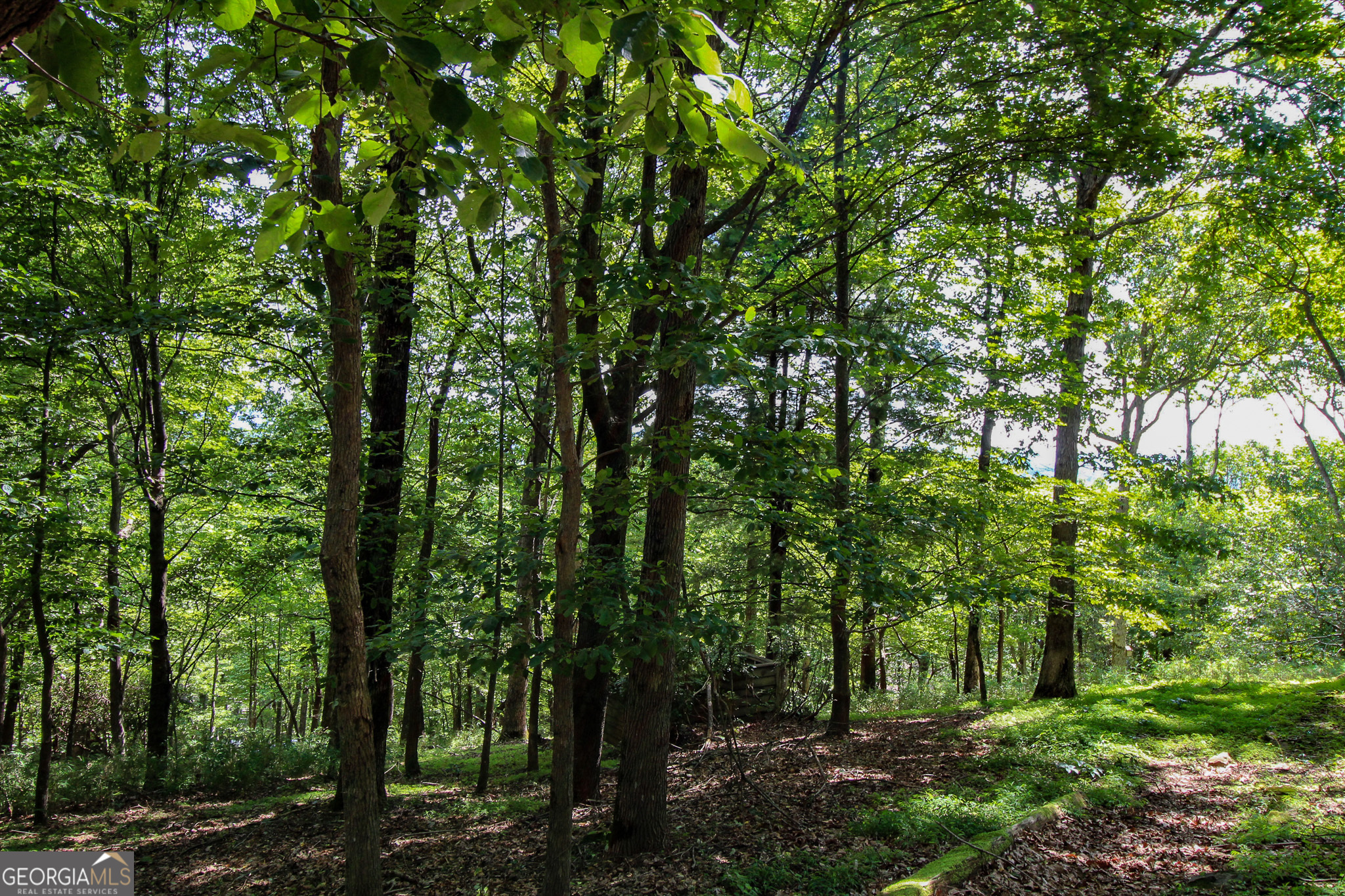 Property Photo: 8088 Ridgeview Drive GA 30143