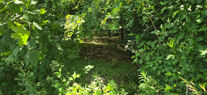 Property Photo:  Vl Yaphank-Middle Island Road  NY 11980 