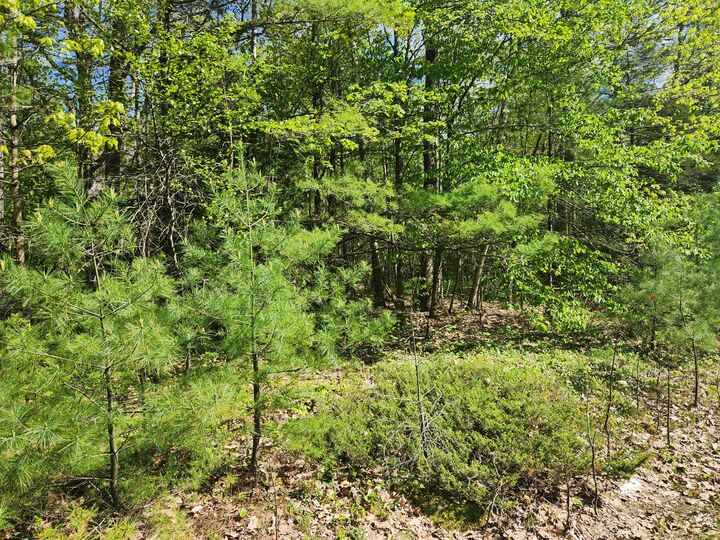 Property Photo: Map R1 21 Alna Road ME 04535