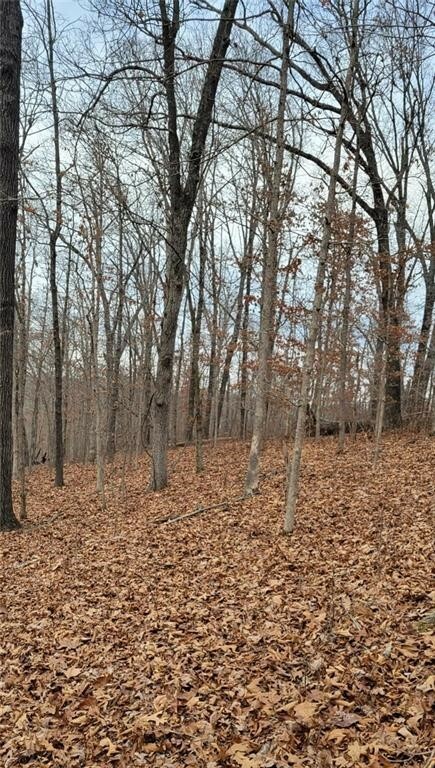Property Photo:  Padbury Drive  AR 72715 