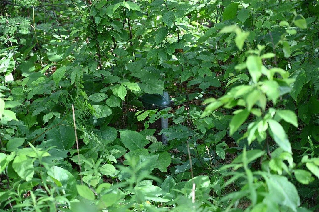 Property Photo: 8887 Fosberg Road WI 54872