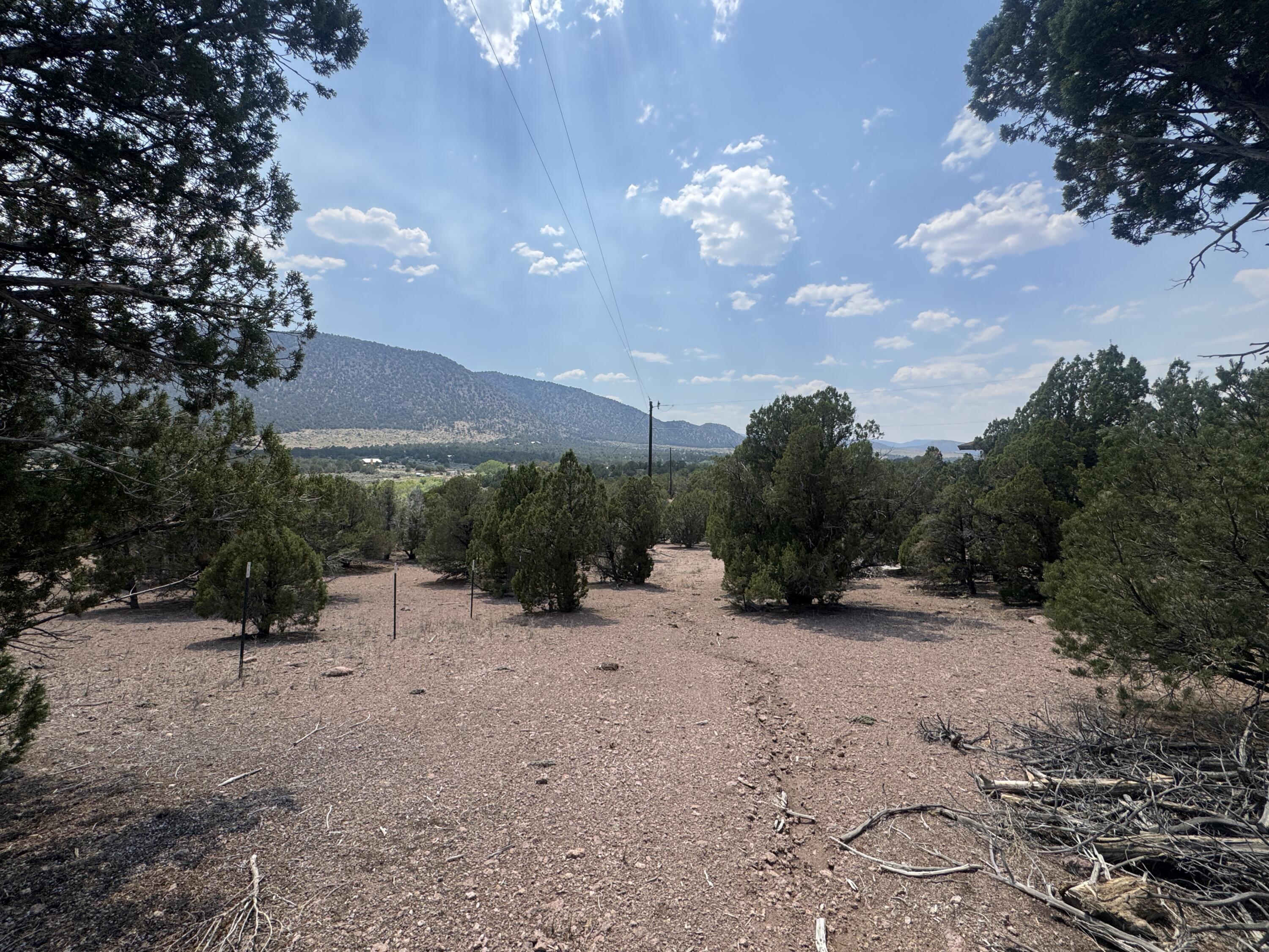 4198 S Artifact Dr 16  Cedar City UT 84720 photo