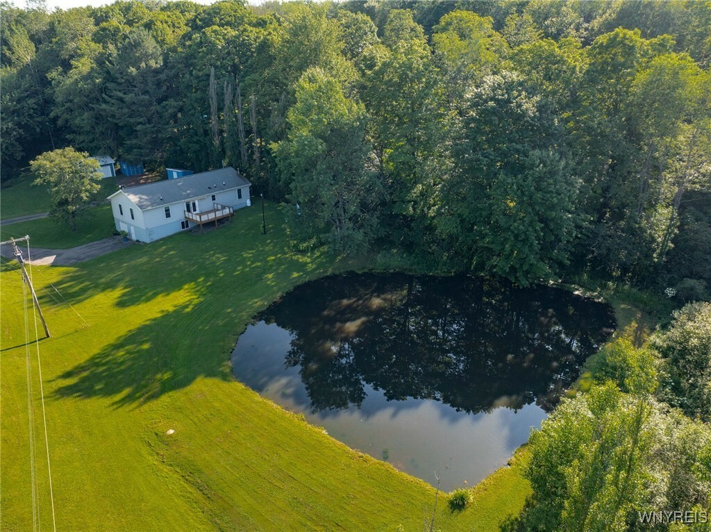 Property Photo:  6165 Martin Corners Road  NY 14727 