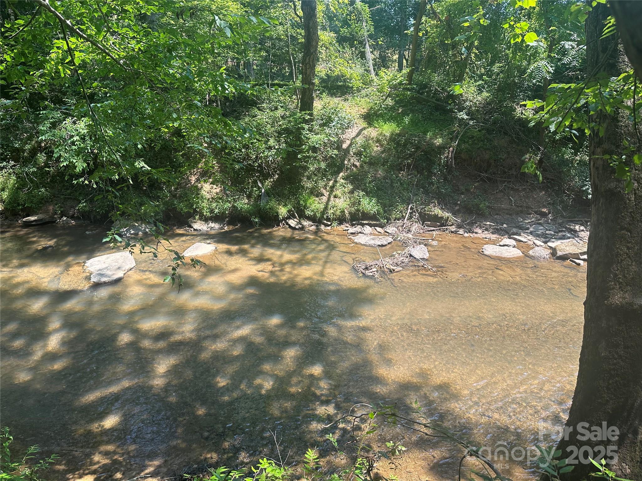 Property Photo: 00 Harmony Grove Road 10 NC 28761