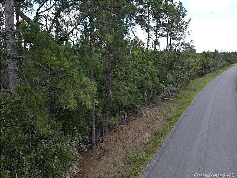 0 Sandy Lane  Dequincy LA 70633 photo
