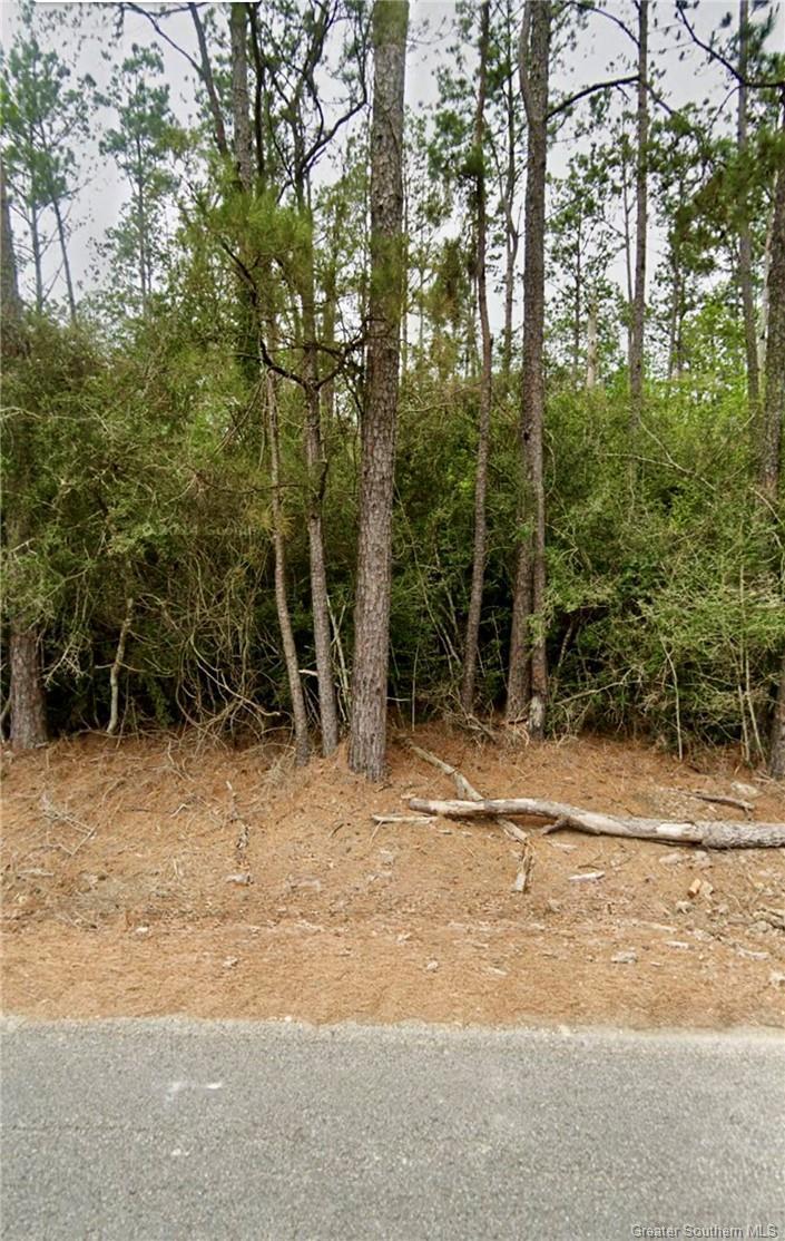 Property Photo: 0 Sandy Lane LA 70633