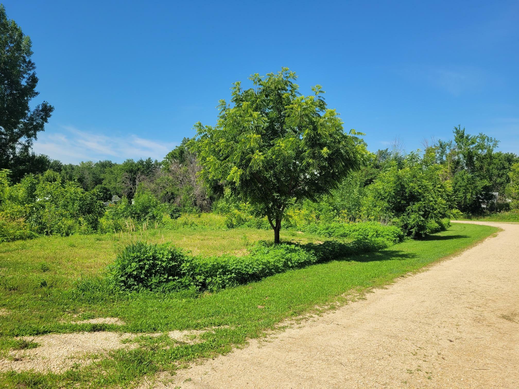 Property Photo: 419 4th Ave NW IA 50662