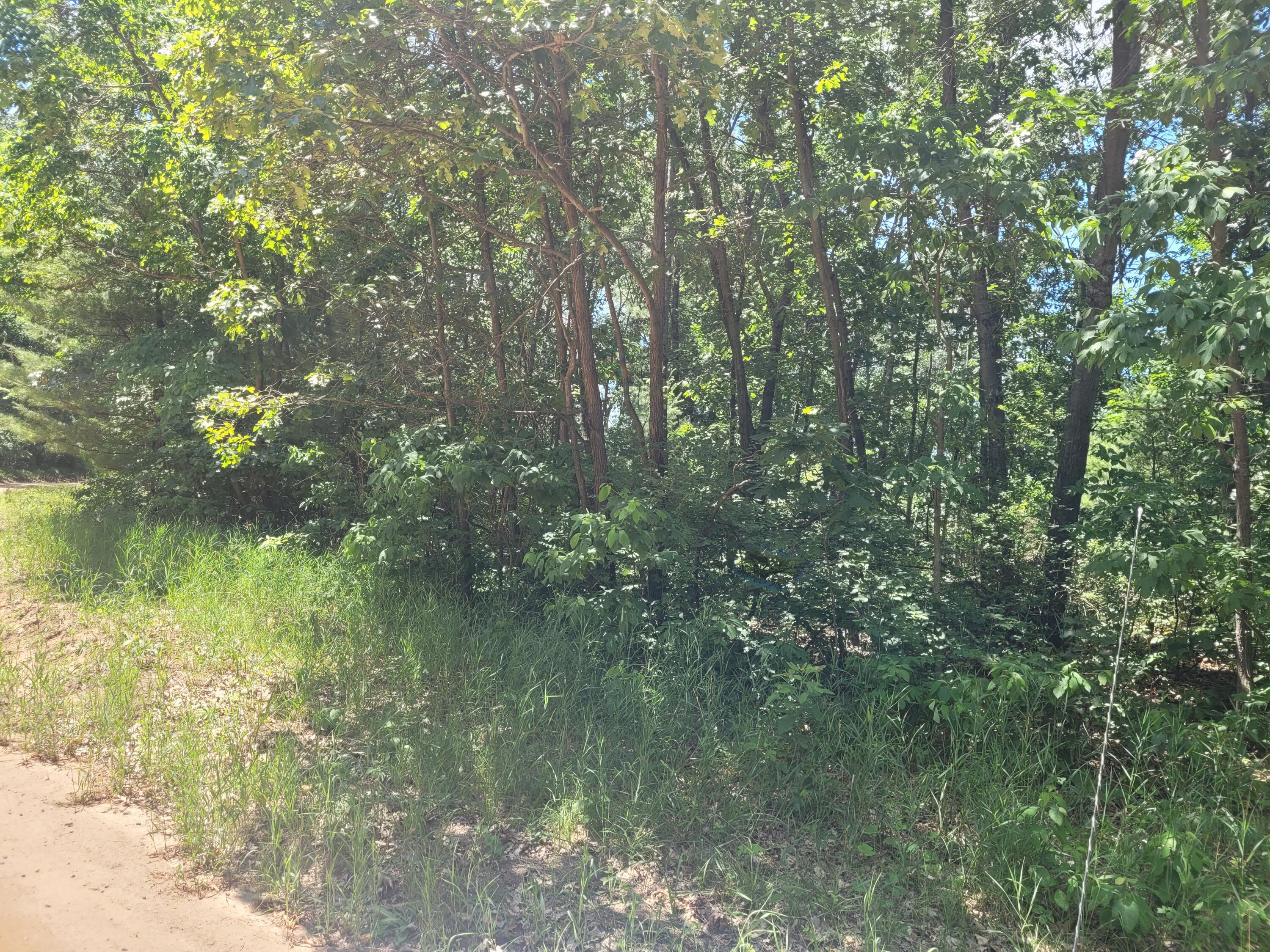 Property Photo:  Vl Round Lake Drive  MI 49408 