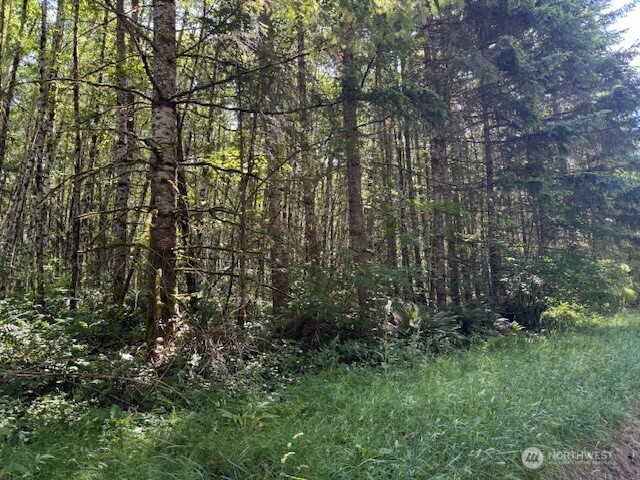 Property Photo: 0 Nelson Road WA 98596