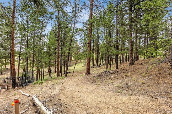 Property Photo:  77 Monarch Drive  CO 80816 