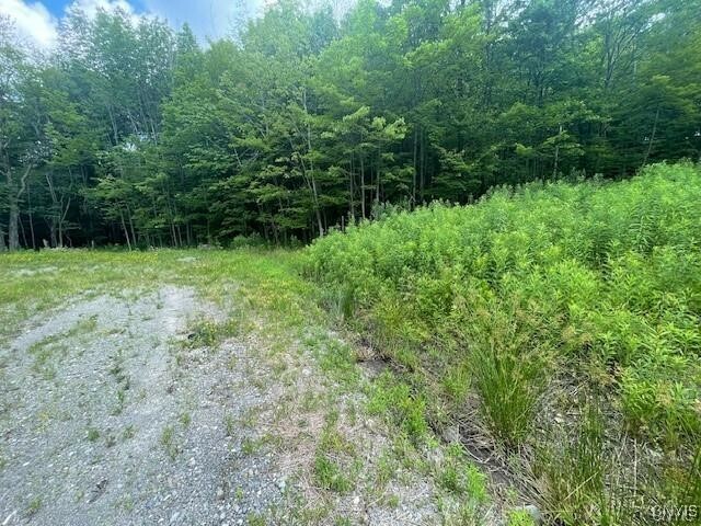 Property Photo: 2010 Thermopylae Drive NY 13045