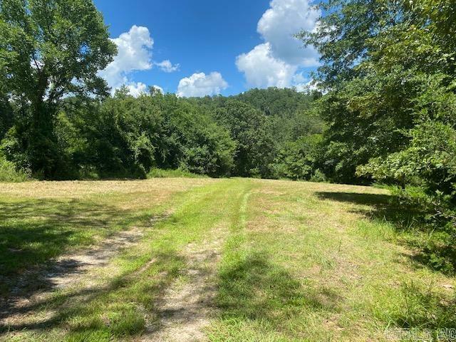 Property Photo: 787 Polk Road 67 AR 71953