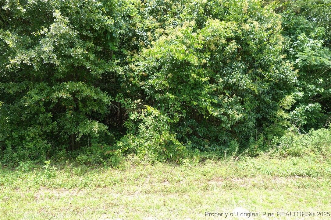 Property Photo: Nc 41 Highway NC 28340