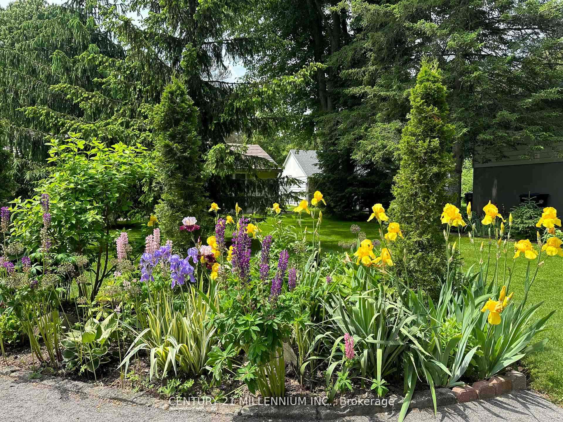 Property Photo: 48 Credit Road ON L7C 3J1