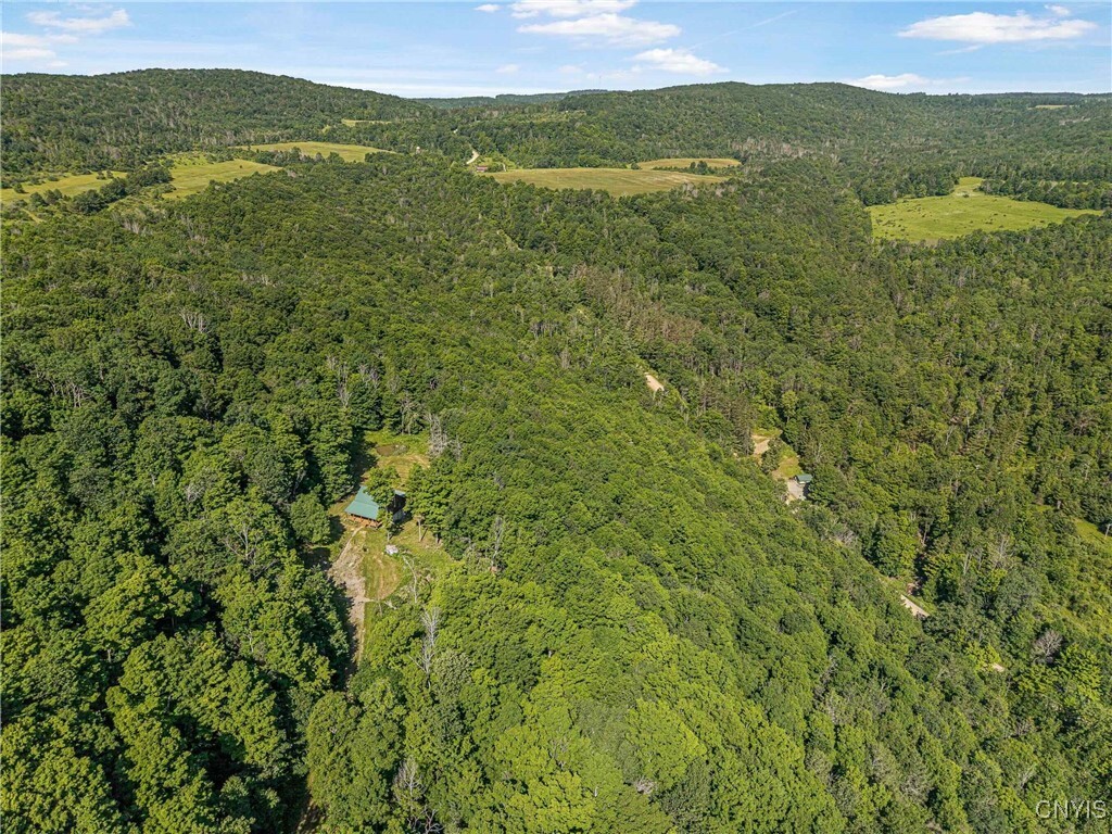 Property Photo: 4902 McMaster Road NY 14819